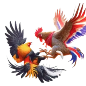 Cá cược bóng đá sv388 llc